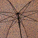 Armação Guarda-chuva